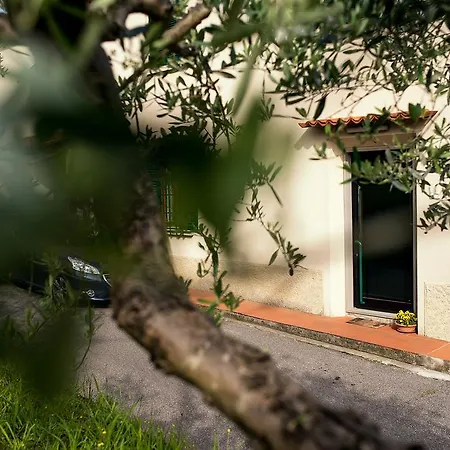 招待所 多纳蒂纳达旅馆